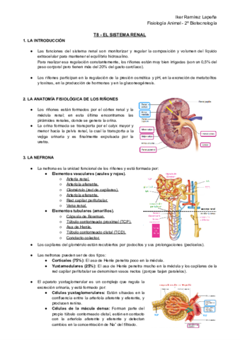 T8-FA-El-Sistema-Renal.pdf