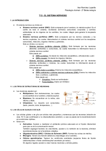 T13-FA-El-Sistema-Nervioso.pdf