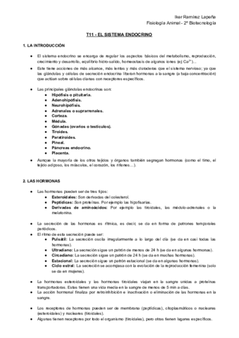 T11-FA-El-Sistema-Endocrino.pdf