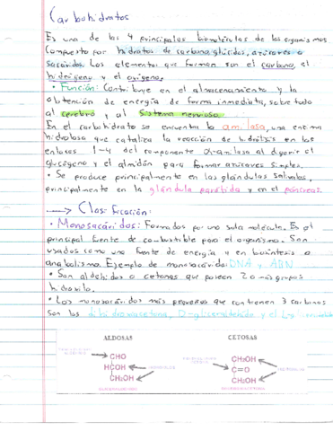 Resumen-Carbohidratos.pdf