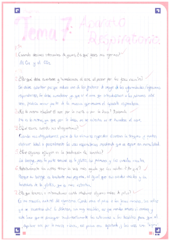 Anatomia-1oBACH-Aparato-Respiratorio.pdf