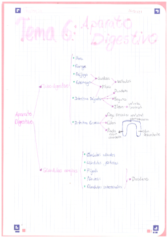 Anatomia-1oBACH-Aparato-Digestivo.pdf