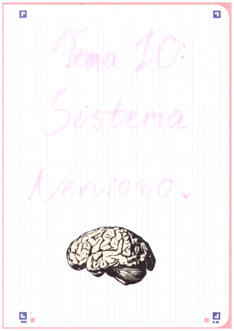 Anatomia-1oBACH-Sistema-Nervioso.pdf