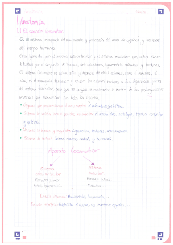 Anatomia-1oBACH-Aparato-Locomotor.pdf