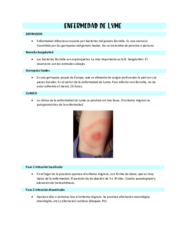 ENFERMEDAD-DE-LYME.pdf