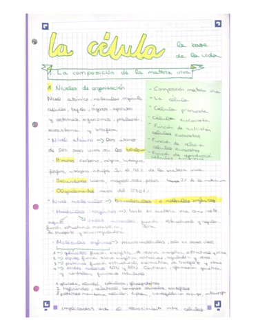 Documentos-escaneados-184.pdf