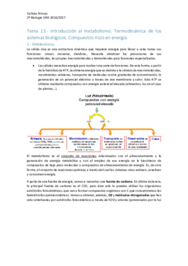 Curso bioquímica II.pdf