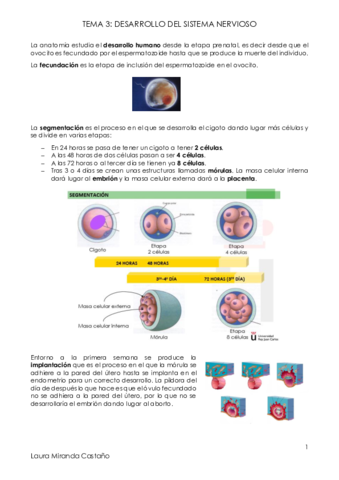 Tema 3. Desarrollo del sistema nervioso.pdf