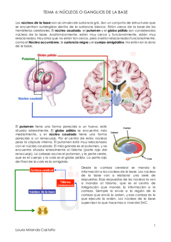 Tema 6. Núcleos de la Base.pdf
