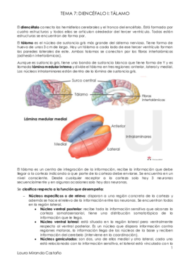 Tema 7. Diencéfalo I. Tálamo.pdf
