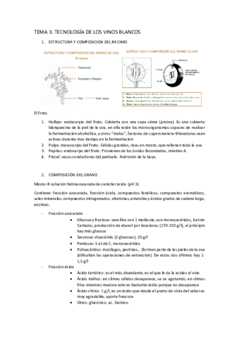 TEMA-3-TECNOLOGIA-DE-LOS-VINOS-BLANCOS.pdf