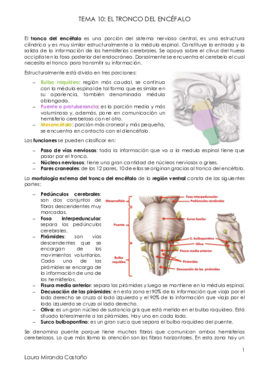 Tema 10. Tronco del encéfalo.pdf