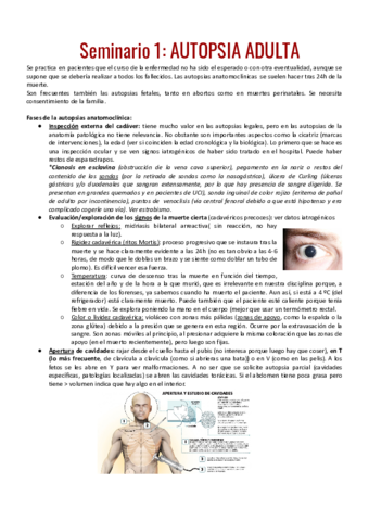 SEMINARIOS-CICLO-1.pdf