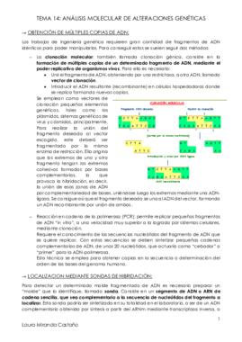 Tema 14. Análisis molecular de alteraciones genéticas.pdf