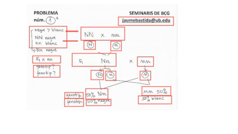 seminari-bio.pdf