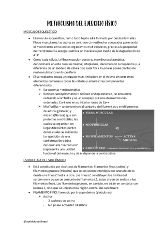 METABOLISMO-DEL-EJERCICIO-FISICO.pdf