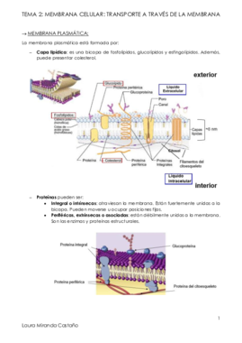Tema 2. Membrana celular. Transporte a través de la membrana.pdf