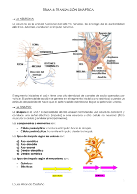 Tema 6. Transmisión sináptica.pdf