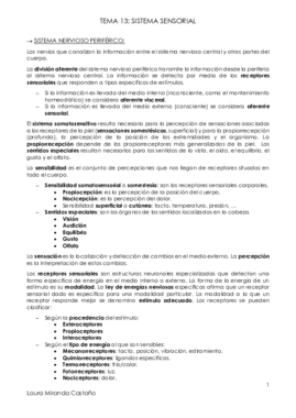 Tema 13. Sistema sensorial.pdf