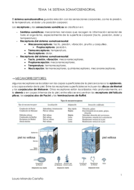 Tema 14. Sistema somatosensorial.pdf