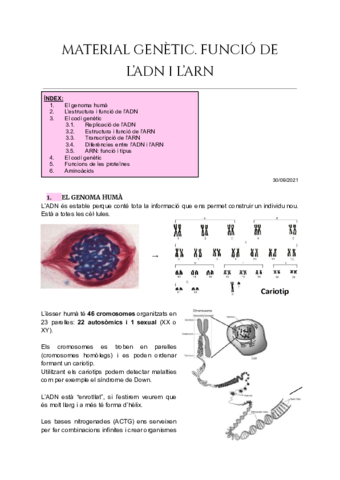 Tema-1-Material-Genetic.pdf