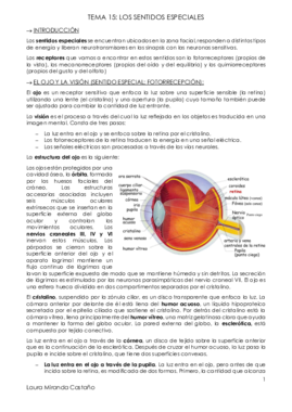 Tema 15. Los sentidos especiales.pdf