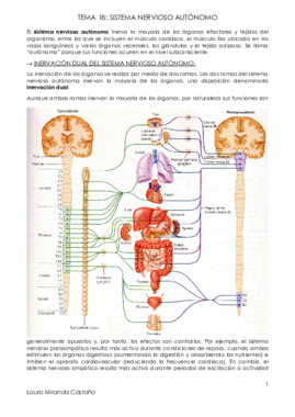 Tema 18. Sistema Nervioso Autónomo.pdf