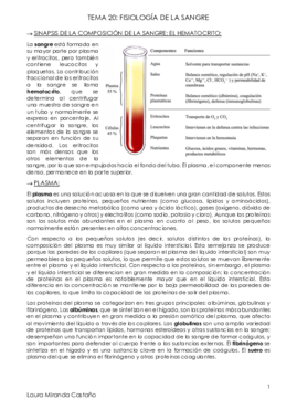 Tema 20. Fisiología de la sangre.pdf