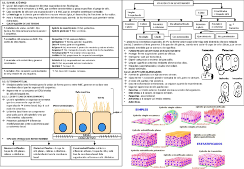 TEMA-3-FISIO.pdf