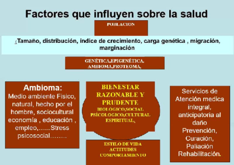 Factores-que-influyen-en-la-salud.pdf