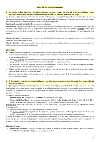 Tema-11-civil.pdf