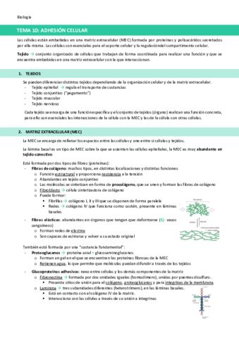 TEMA-10-Adhesion-celular.pdf