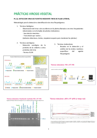 PRACTICAS-VIROSIS-VEGETAL.pdf