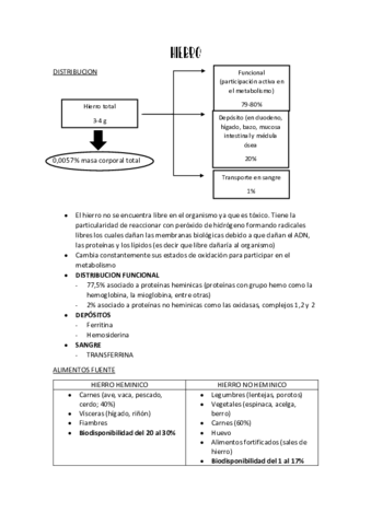RESUMEN-BIOQUI-2DA-PARTE-en-pdf.pdf