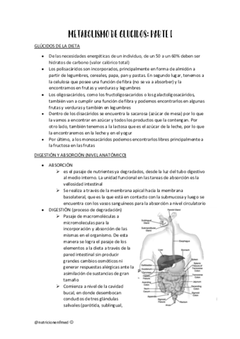 Mb-glucidos-parte-1.pdf