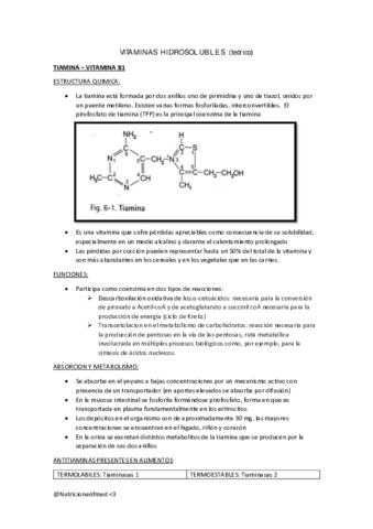 RESUMEN-NUTRI-DE-VITAMINAS-MINERALES-Y-HIERRO.pdf