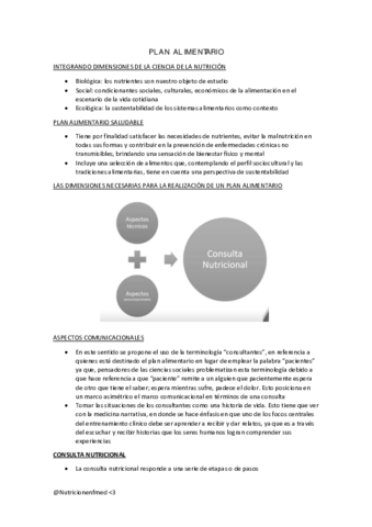 PLAN-ALIMENTARIO.pdf