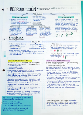 Relacion-y-reproduccion-de-las-plantas-1Bach.pdf