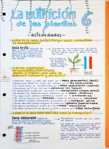 NUTRICION-DE-LAS-PLANTAS-1BACH.pdf