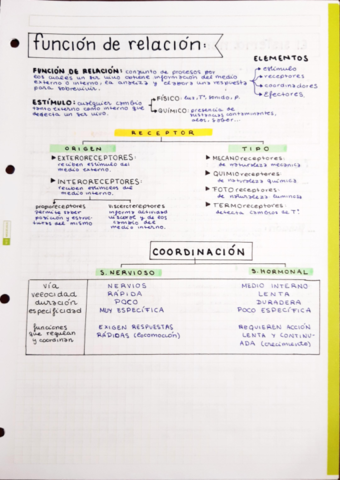 Relacion-Animal-1Bach.pdf