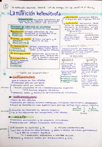NUTRICION-ANIMAL-1Bach.pdf