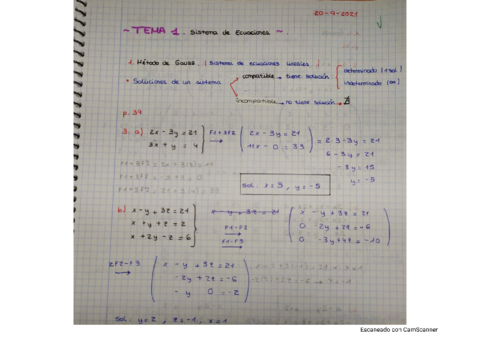 T1-sistema-de-ecuaciones-y-problemas-PAU-resueltos.pdf