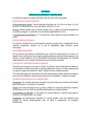 BORRELIAS-Y-LEPTOSPIROSIS.pdf