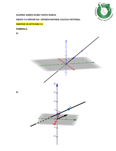 GRAFICAS-ACTIVIDAD.pdf