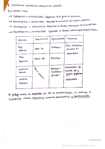 Resumen-tema-1-parte-5.pdf