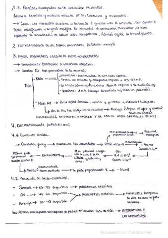 Resumen-tema-1-parte-2.pdf