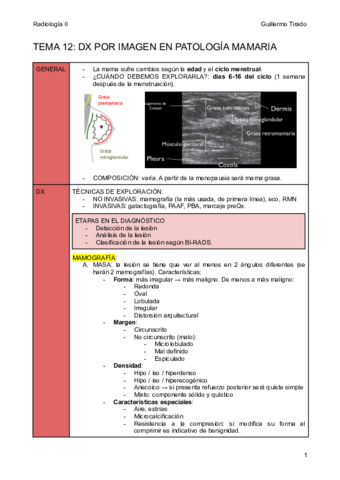 T12-Patologia-mamaria.pdf