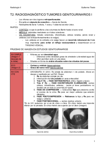 T2-Radiodiagnostico-en-tumores-genitourinarios-1-1.pdf