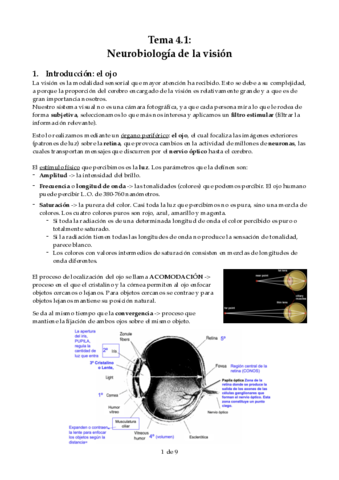 tema-4.1.pdf