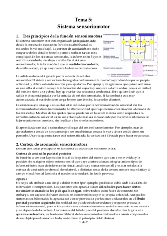 tema-5-PF.pdf